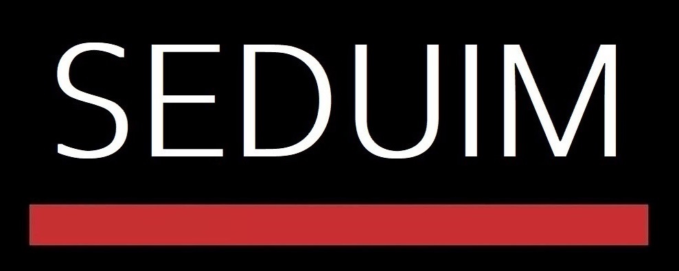 Logo Servicios Durango Implementaciones